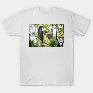 Green Heron T-Shirt